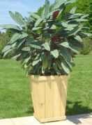 Blumenkasten Alpina 3 inkl. Stoffeinsatz - Abmessung: 55 x 55 x 72 cm (B x T x H)