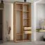 Schwarzer Kleiderschrank Tharo mit Schiebetüren, Anti Staubbürsten, platzsparend, viel Stauraum, 235,2 x 110 x 45 cm, auch für Wohnzimmer geeignet