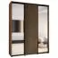 Platzsparender Schrank mit Spiegeln Mina in Eiche/Schwarz, viel Stauraum, auch für Wohnzimmer geeignet, Anti Staubbürsten, 235,2 x 200 x 60 cm