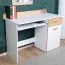 Jugendzimmer - Schreibtisch Dennis 10, Farbe: Esche / Weiß - Abmessungen: 87 x 120 x 55 cm (H x B x T)