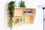 Hängeregal / Wandregal Kiefer massiv Vollholz natur Junco 338 - Abmessungen: 47 x 100 x 24 cm (H x B x T)