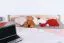 Jugendbett Buche massiv Vollholz natur 117G, inkl. Lattenrost - 180 x 200 cm (B x L)