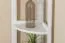Regal 40 cm breit 200cm hoch