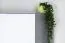 Jugendzimmer - Regal Lede 04, Farbe: Grau / Eiche / Weiß - Abmessungen: 190 x 60 x 40 cm (H x B x T)