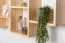 Hängeregal / Wandregal Kiefer massiv Vollholz natur Junco 288 - Abmessung: 50 x 130 x 20 cm (H x B x T)