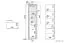 Vitrine Nogales 06, Farbe: Sonoma Eiche hell / dunkel - Abmessungen: 202 x 55 x 41 cm (H x B x T), mit 2 Türen, 1 Schublade und 5 Fächern