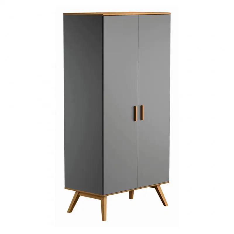 100 cm breiter Kleiderschrank mit 2 Türen | Farbe: Grau Abbildung