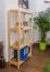 Regal 70cm breit