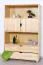 Regal 100 cm breit