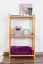 Regal Kiefer massiv Vollholz Erlefarben Junco 57D - 86 x 50 x 30 cm (H x B x T)