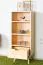 Regal Kiefer massiv natur Aurornis 23 - Abmessungen: 125 x 50 x 40 cm (H x B x T)
