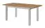 Ausziehbarer Esstisch Temerin 36 mit hellen Beinen, Eiche Wotan / Mattgrau, 135-175 x 80 cm, zweifarbiger Tisch, schöne Maserung, modernes Design