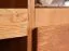 Vitrine Jussara 12, Farbe: Bernstein, Eiche teilmassiv – 150 x 178 x 42 cm (H x B x T)