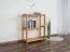 Regal Kiefer massiv Vollholz Erlefarben Junco 57B - 86 x 70 x 30 cm (H x B x T)